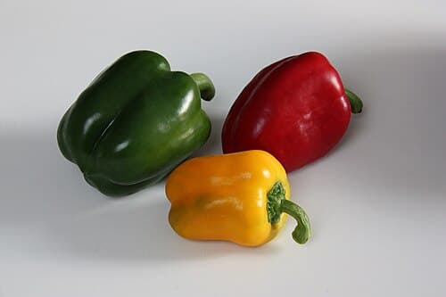 #7 Bell Peppers — Top 10 Vegetables That Even Beginner Gardeners Can Grow