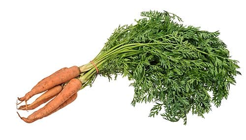 #10 Carrots — Top 10 Vegetables That Even Beginner Gardeners Can Grow
