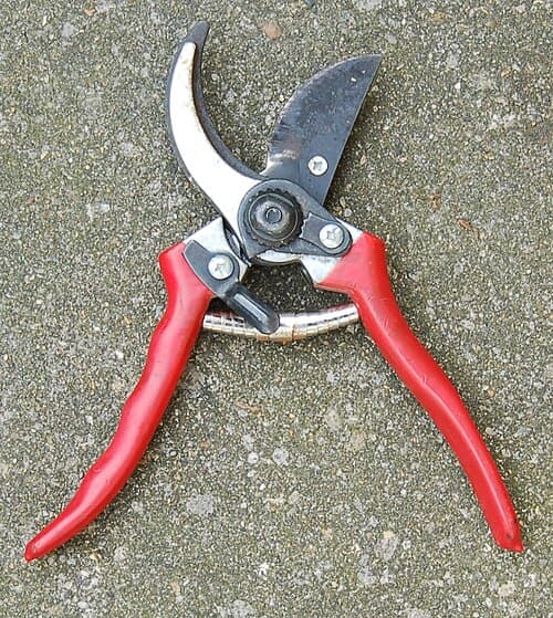 #1 Felco F-2 Pruning Shears — Top 10 Garden Tools That Make Weekend Warriors Look Professional