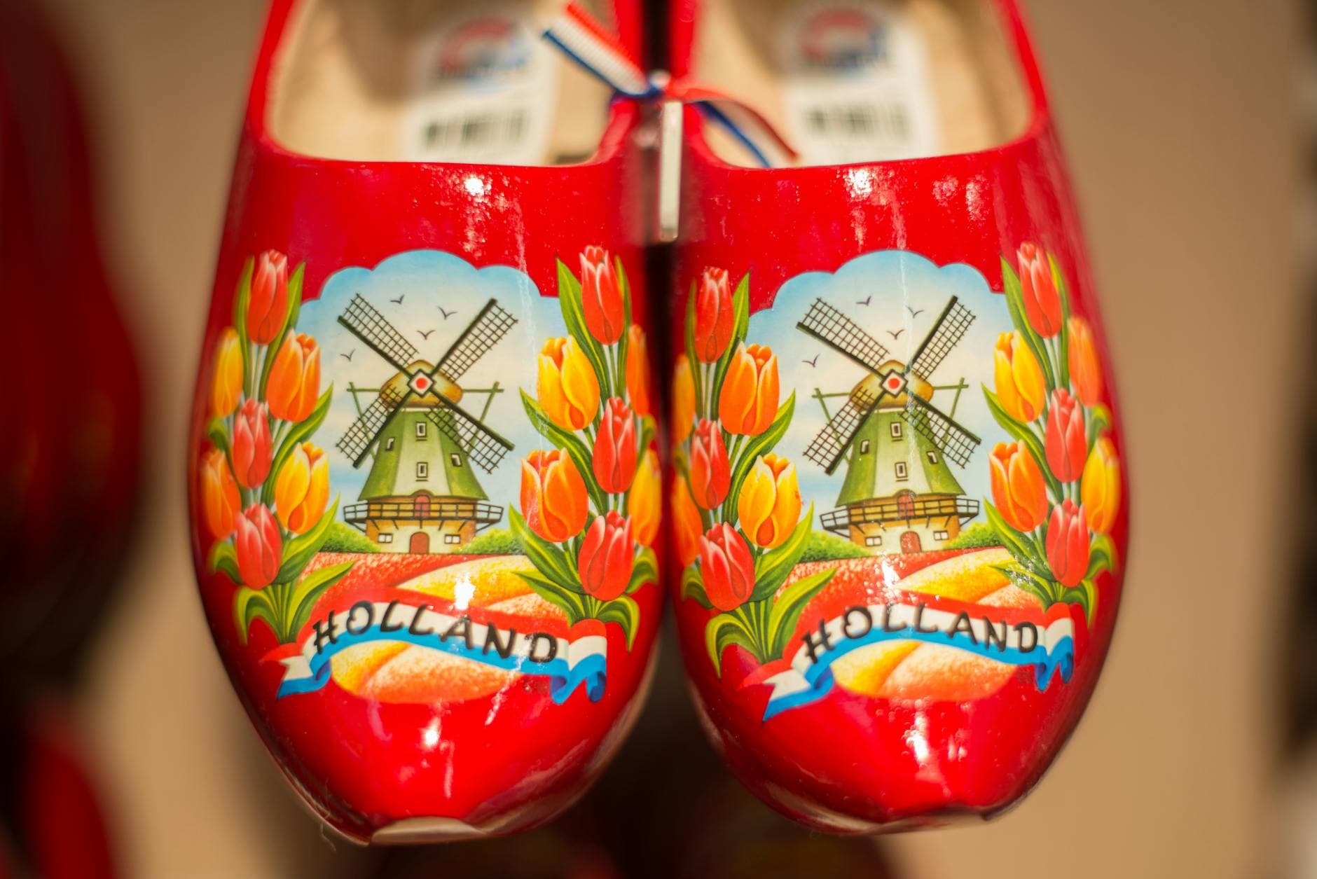 #2 Dutch — Top 10 Easiest Languages for English Speakers to Learn