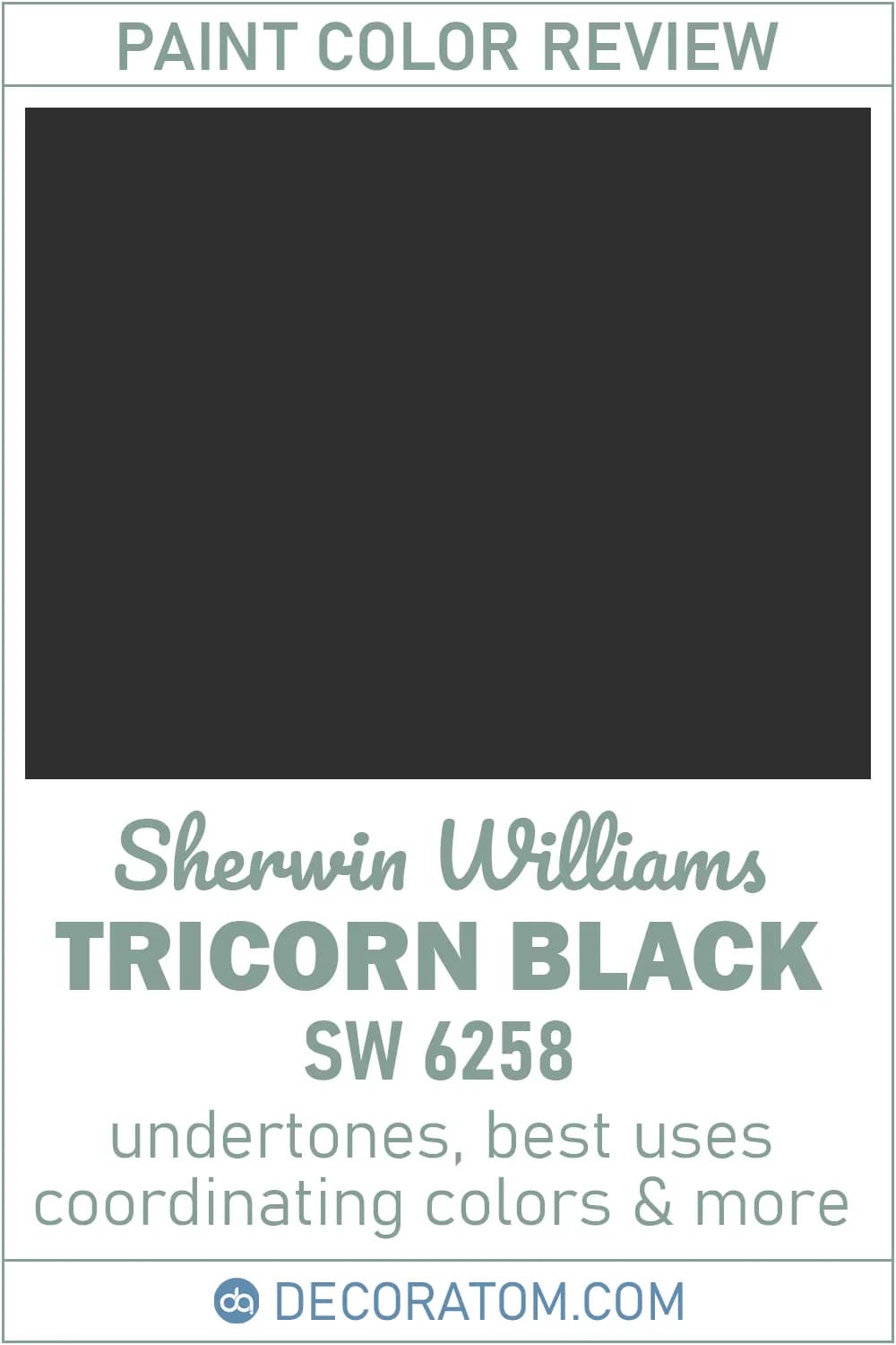 #9 Sherwin-Williams Tricorn Black (SW 6258) — Top 10 Paint Colors That Make Every Room Look Expensive
