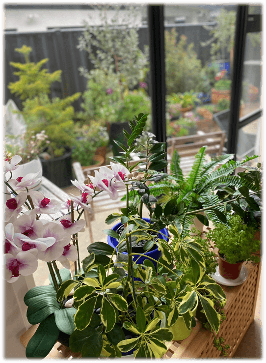 #1 Biophilic Design — Top 10 Architecture and Design Trends Shaping 2026