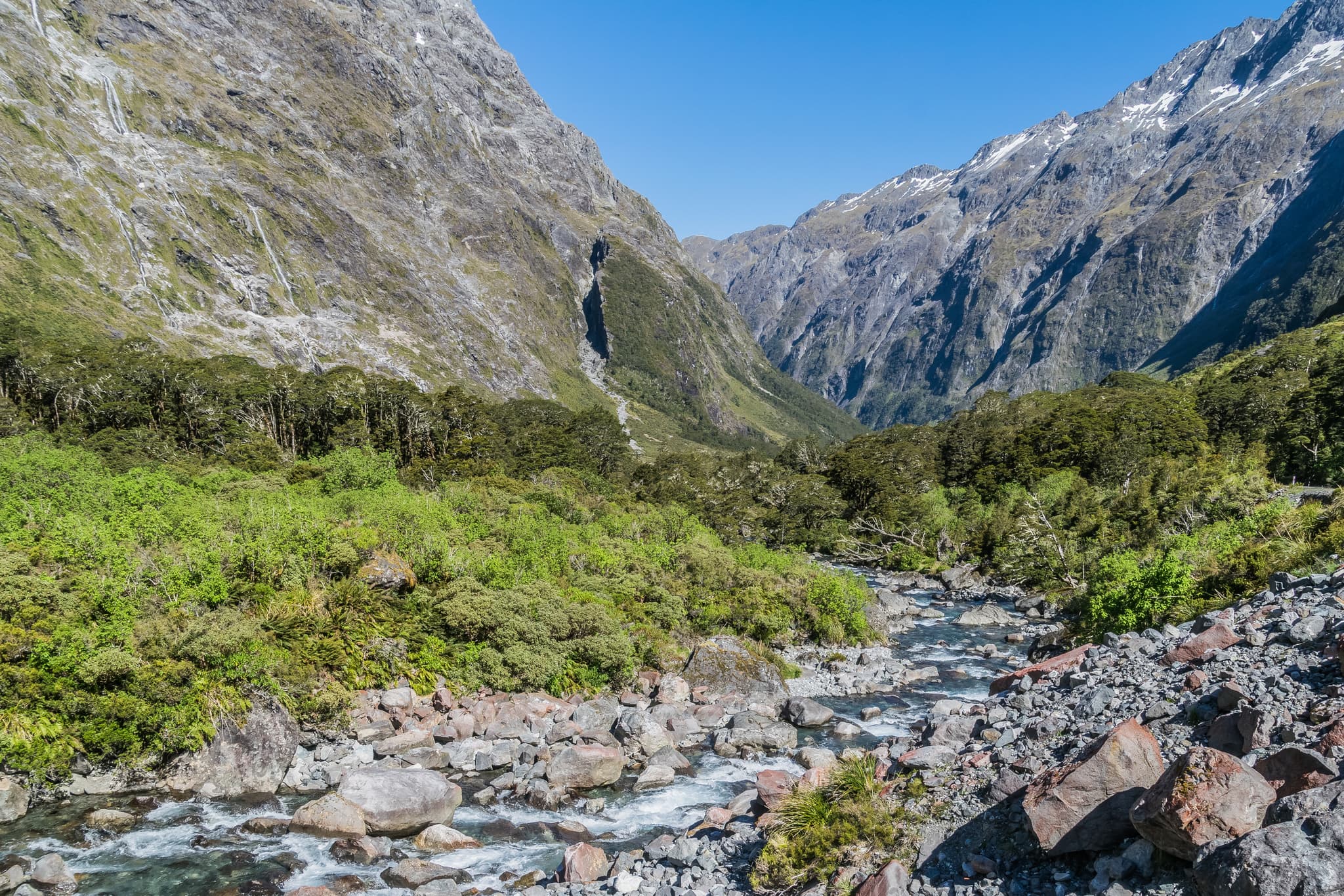 #3 Fiordland National Park (New Zealand) — Top 10 Underrated National Parks You Need to Visit