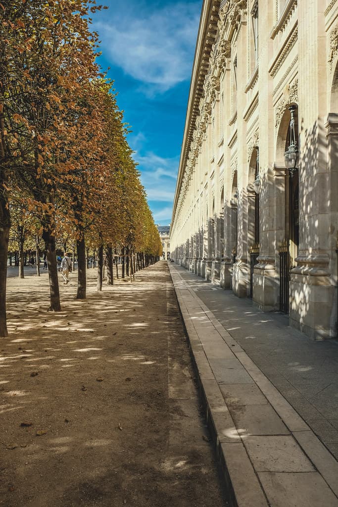 #8 Palais Royal Gardens — Top 10 Things to Do in Paris
