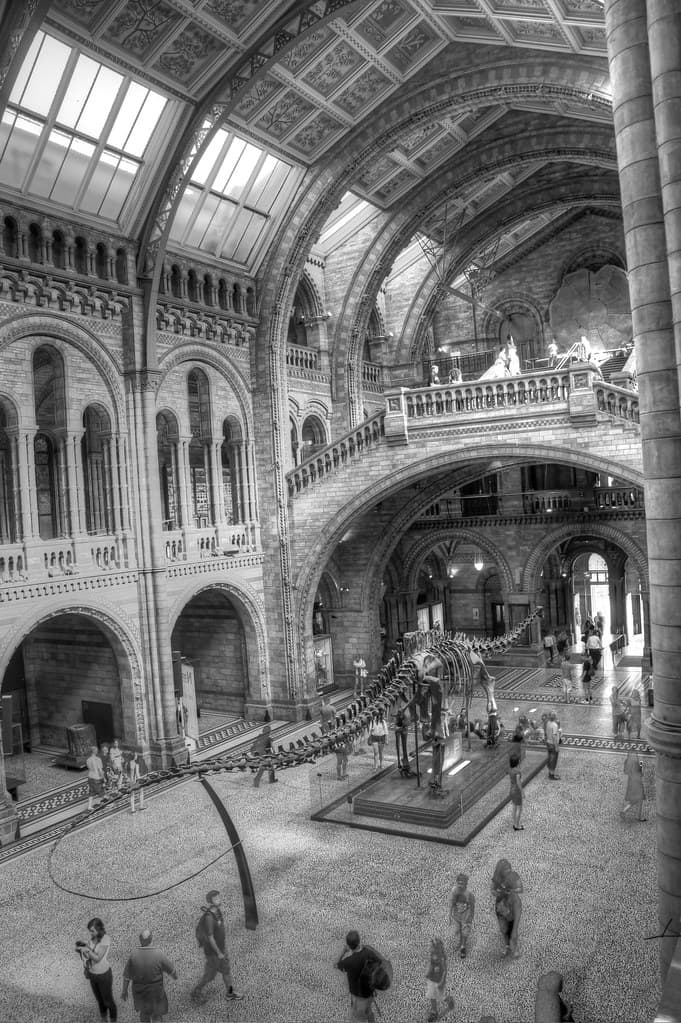 #6 Natural History Museum — Top 10 Things to Do in London