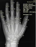 #10 AI in Pathology — Top 10 Ways AI Is Revolutionizing Healthcare in 2026