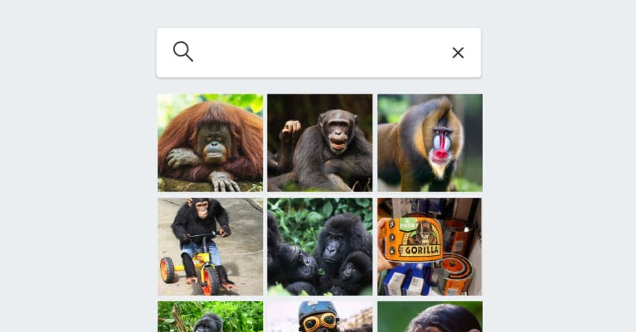 #3 Google Photos Mislabels Black People as Gorillas — Top 10 AI Failures and Controversies