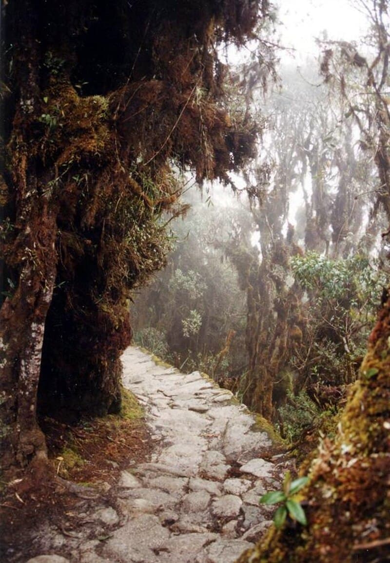 #2 Inca Trail, Peru — Top 10 Best Backpacking Routes in the World