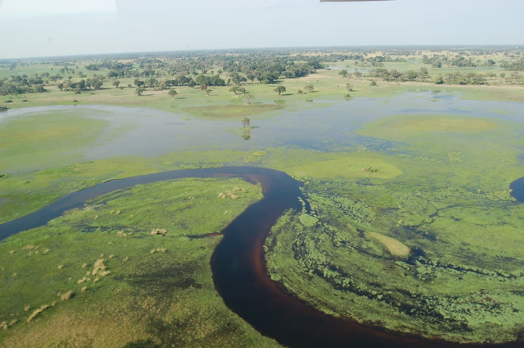#3 Okavango Delta — Top 10 Best Safari Destinations in Africa