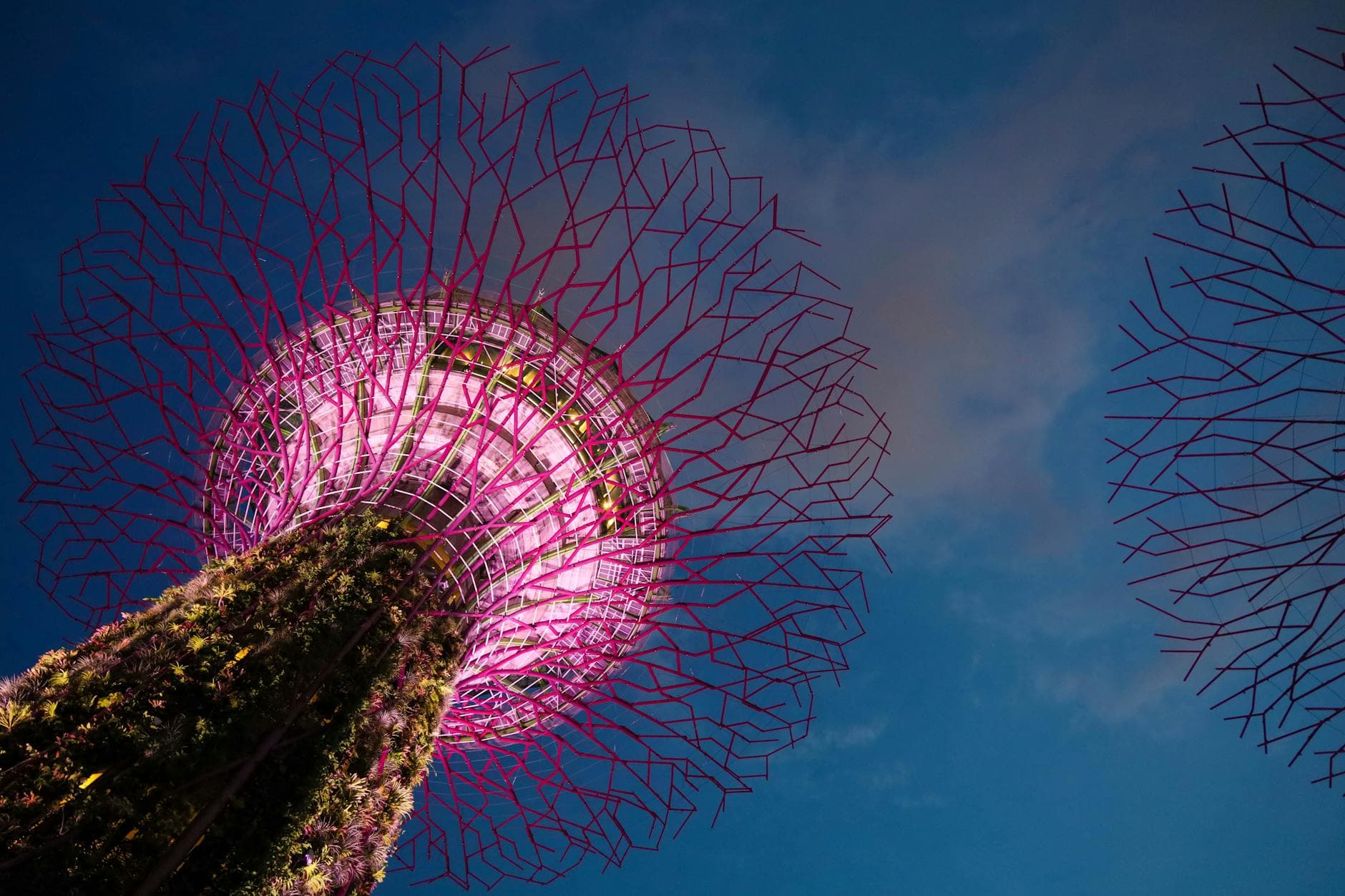 #2 Gardens by the Bay — Top 10 Things to Do in Singapore