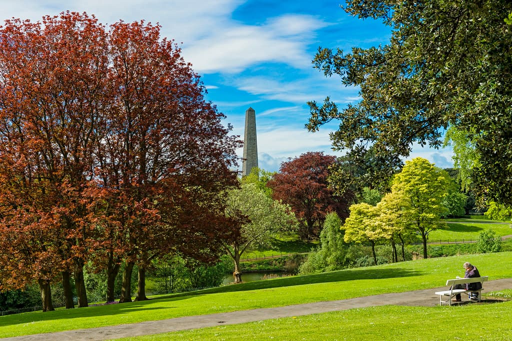 #4 Phoenix Park — Top 10 Things to Do in Dublin