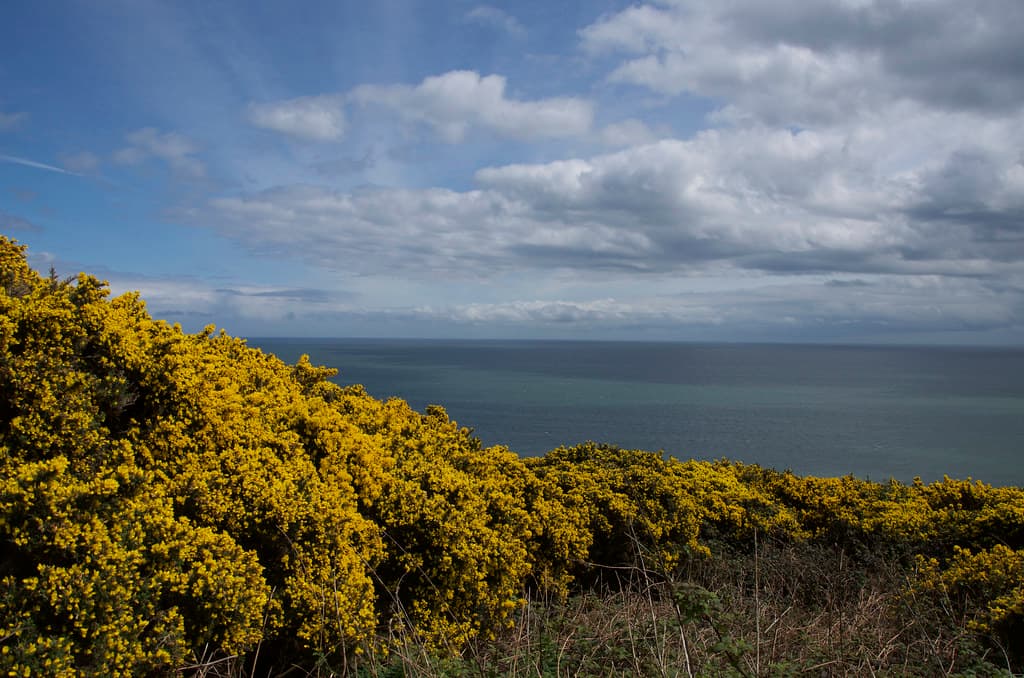 #5 Howth Cliff Walk — Top 10 Things to Do in Dublin