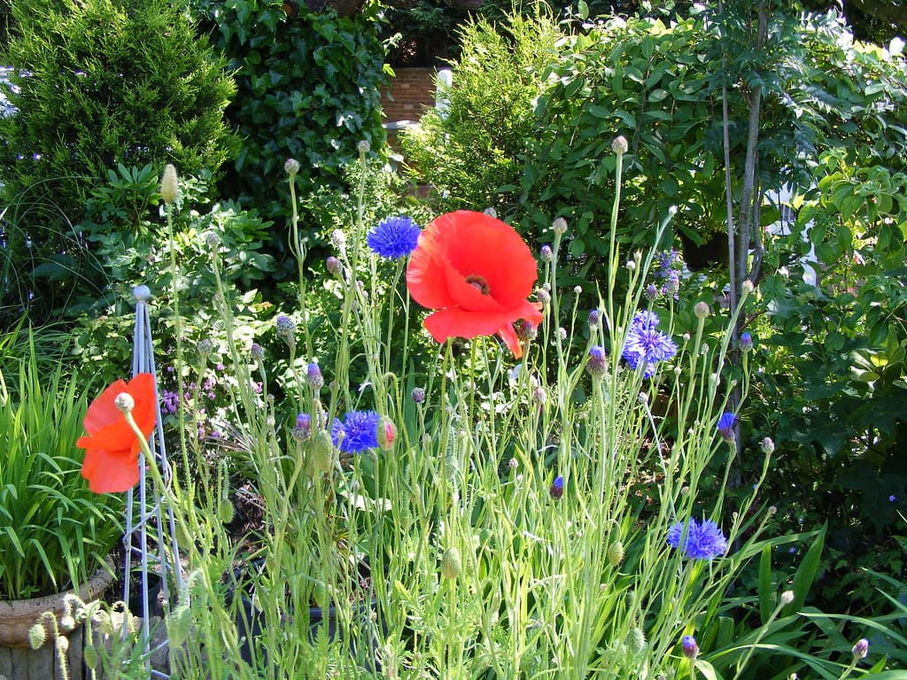 #2 English Garden — Top 10 Things to Do in Munich in 2026: Beer Halls, Palaces & Local Favorites