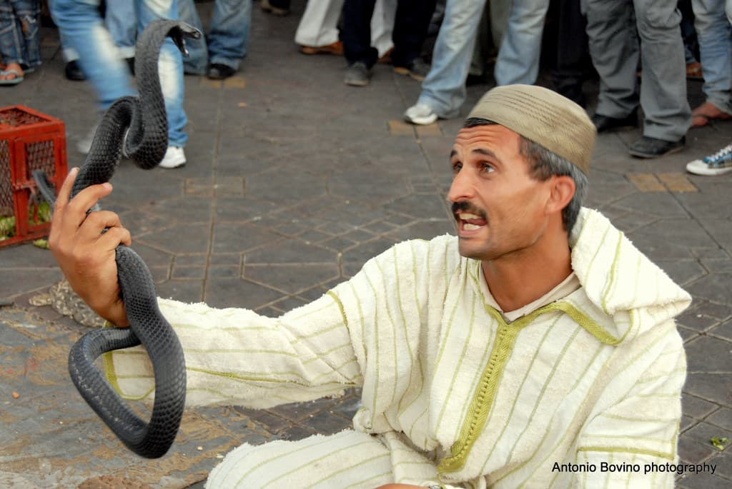 #1 Jemaa el-Fnaa — Top 10 Things to Do in Marrakech