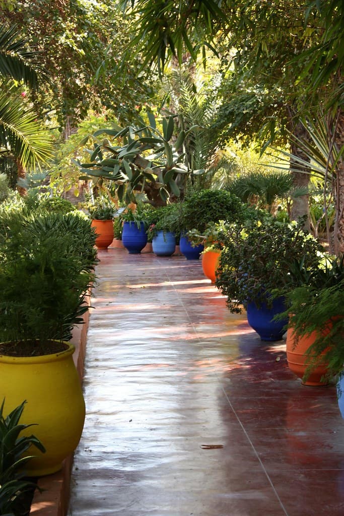 #3 Majorelle Garden — Top 10 Things to Do in Marrakech