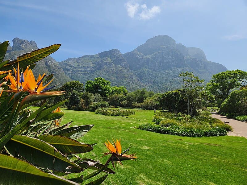 #5 Kirstenbosch National Botanical Garden — Top 10 Experiences in Cape Town