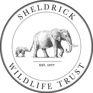 #2 David Sheldrick Wildlife Trust — Top 10 Experiences in Nairobi