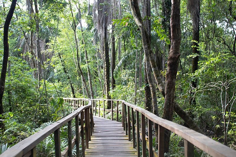 #1 Lekki Conservation Centre — Top 10 Experiences in Lagos