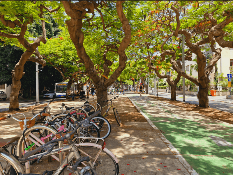 #8 Rothschild Boulevard — Top 10 Things to Do in Tel Aviv