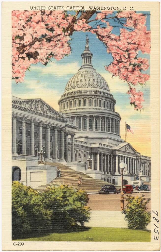 #3 United States Capitol — Top 10 Things to Do in Washington DC