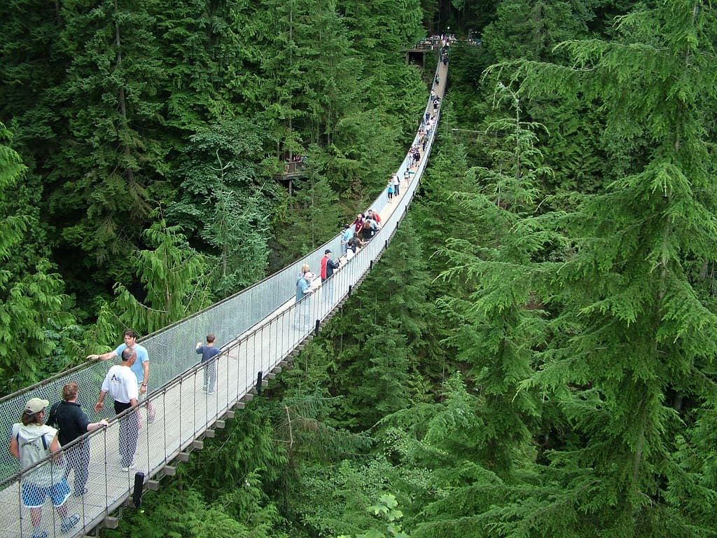 #3 Capilano Suspension Bridge — Top 10 Things to Do in Vancouver