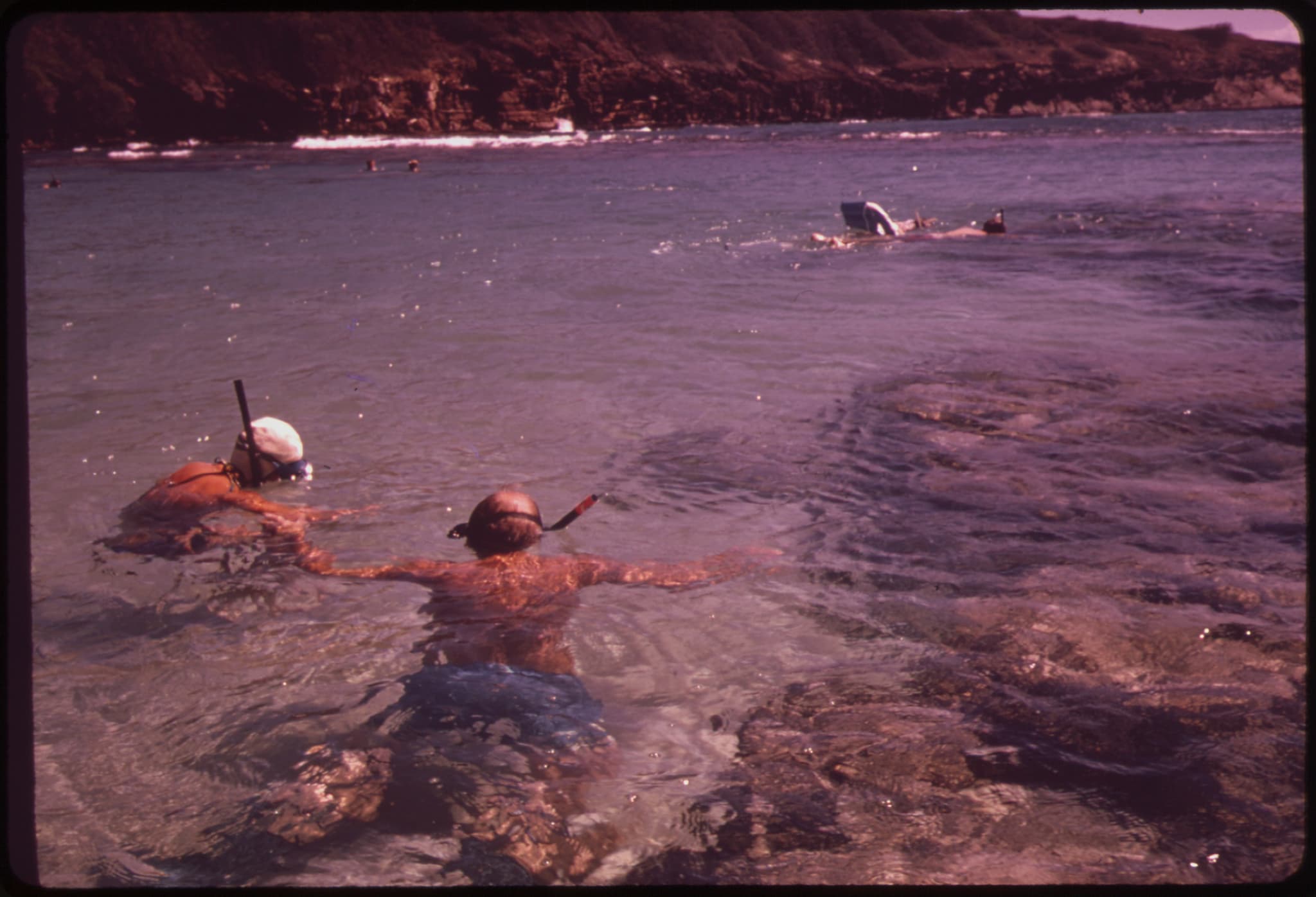 #5 Snorkelling at Hanauma Bay — Top 10 Things to Do in Honolulu in 2026 (Beaches, History & Local Favorites)