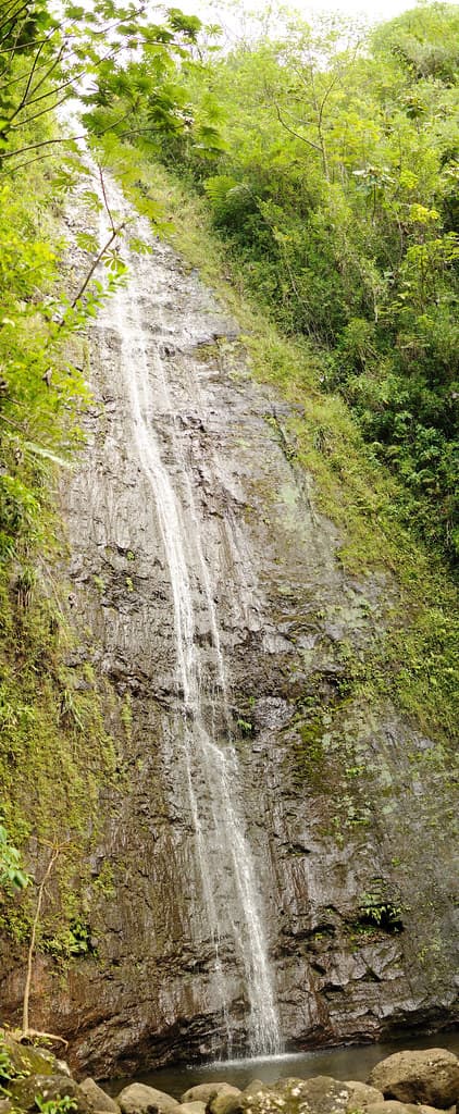 #10 Manoa Falls Trail — Top 10 Things to Do in Honolulu in 2026 (Beaches, History & Local Favorites)