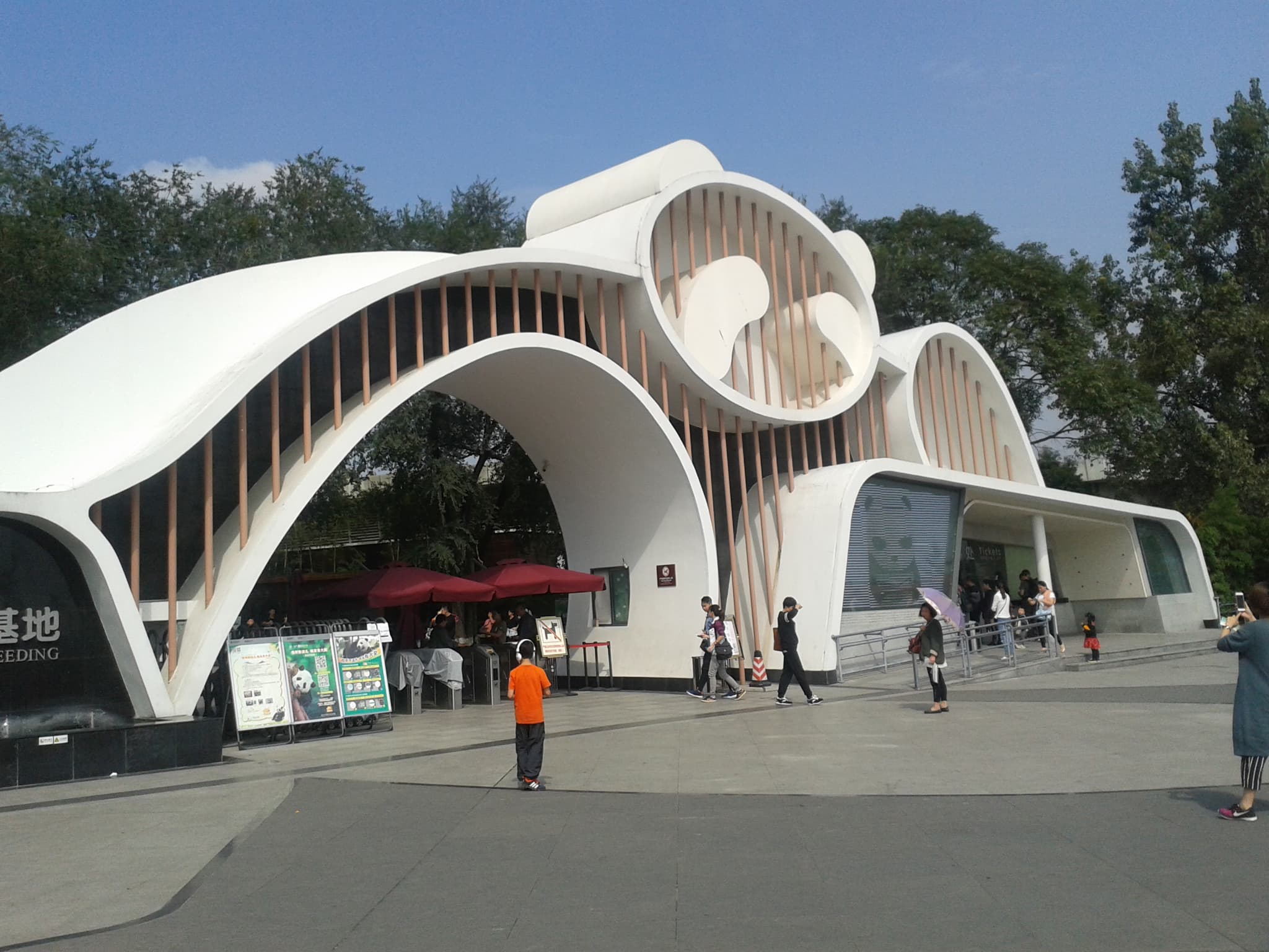 #1 Chengdu Research Base of Giant Panda Breeding — Top 12 Things to Do in Chengdu in 2026
