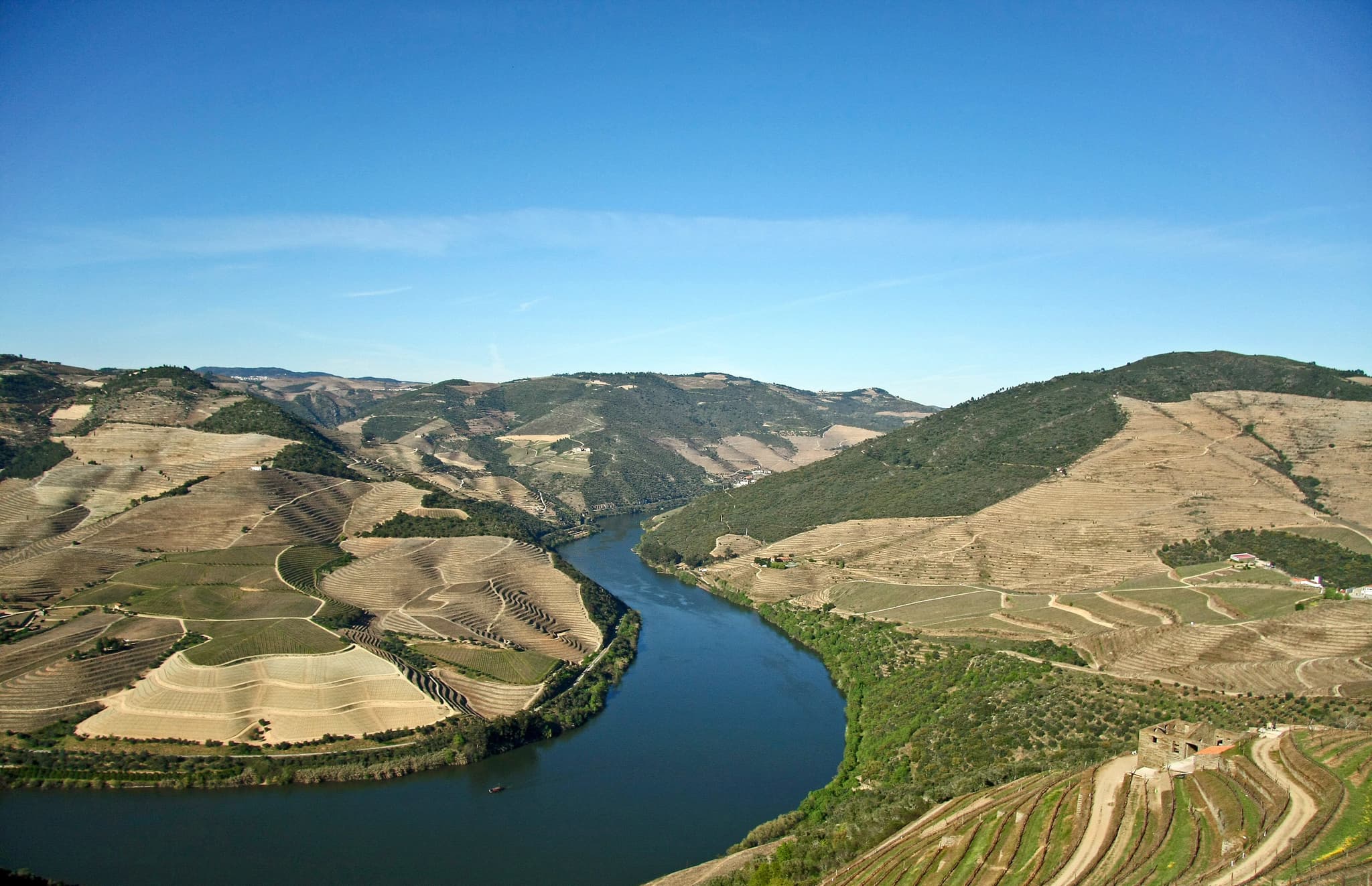 #9 Foz do Douro — Top 10 Things to Do in Porto