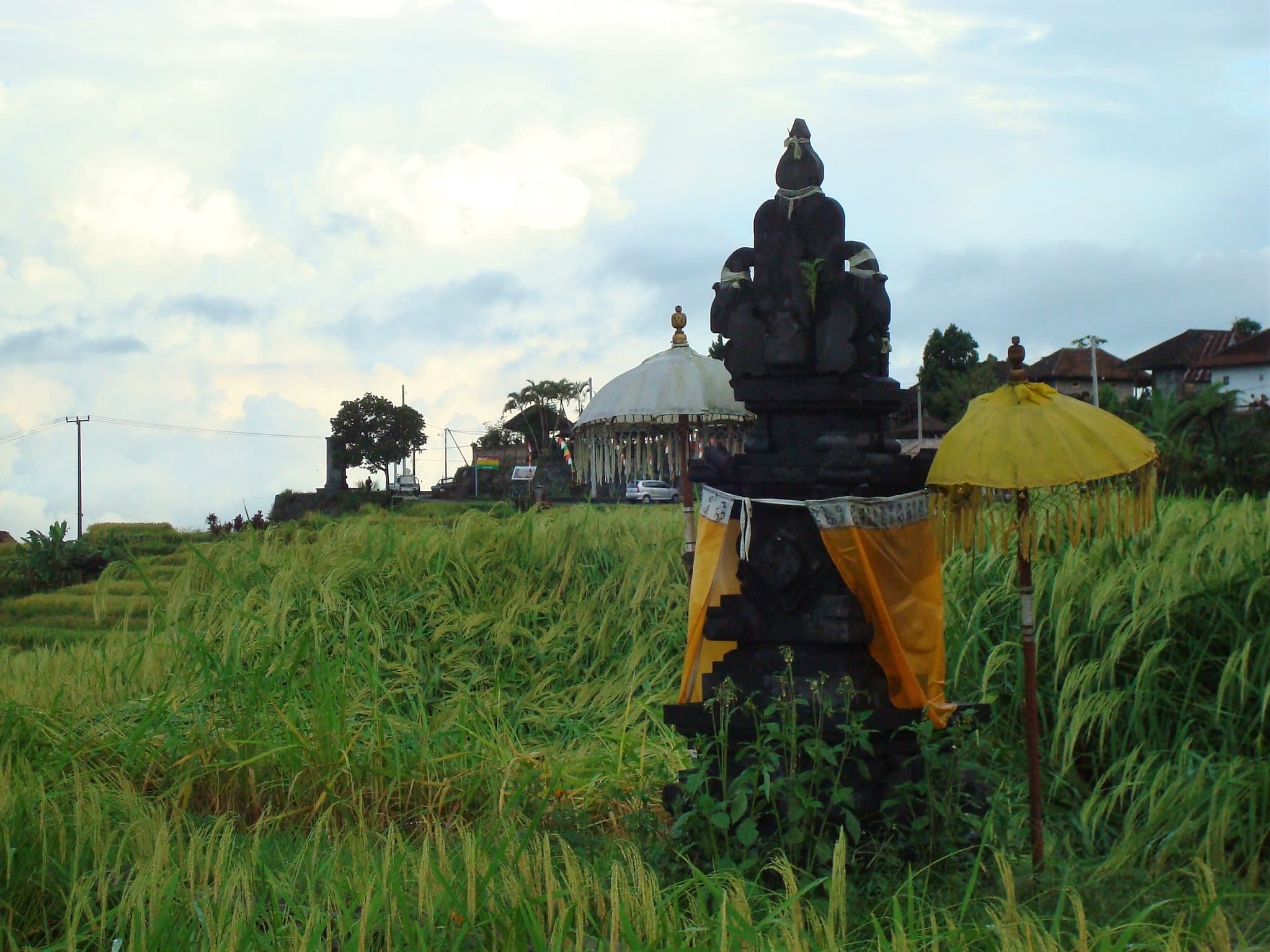 #1 Tegallalang Rice Terraces in Ubud — Top 10 Things to Do in Bali