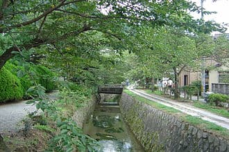 #3 Philosopher's Path — Top 10 Cherry Blossom Spots in Japan 2026
