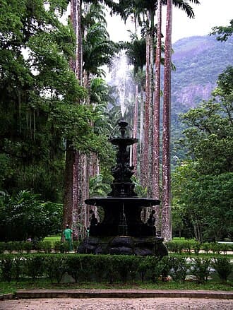 #7 Botanical Garden — Top 10 Things to Do in Rio de Janeiro