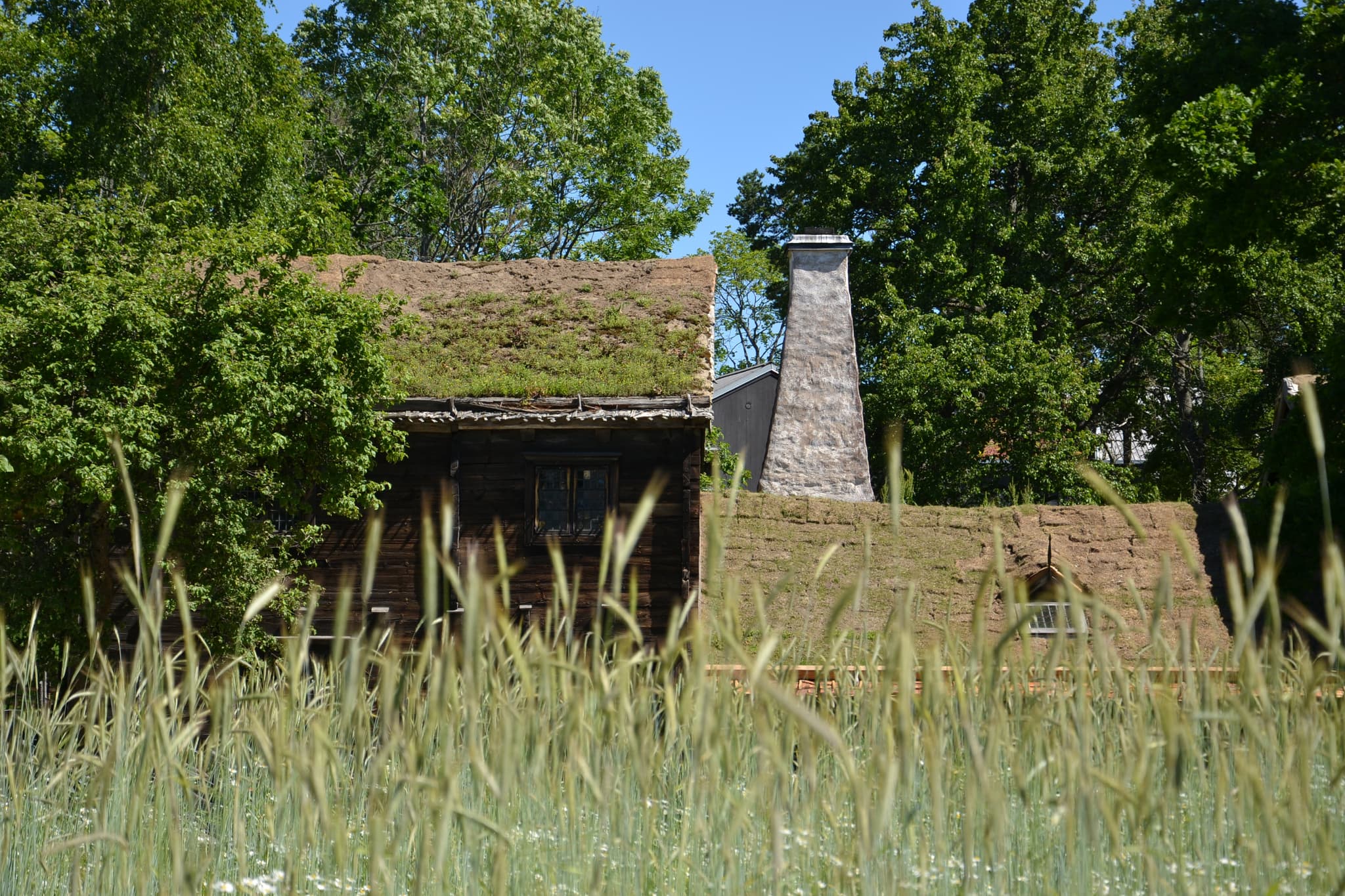 #4 Skansen — Top 10 Things to Do in Stockholm