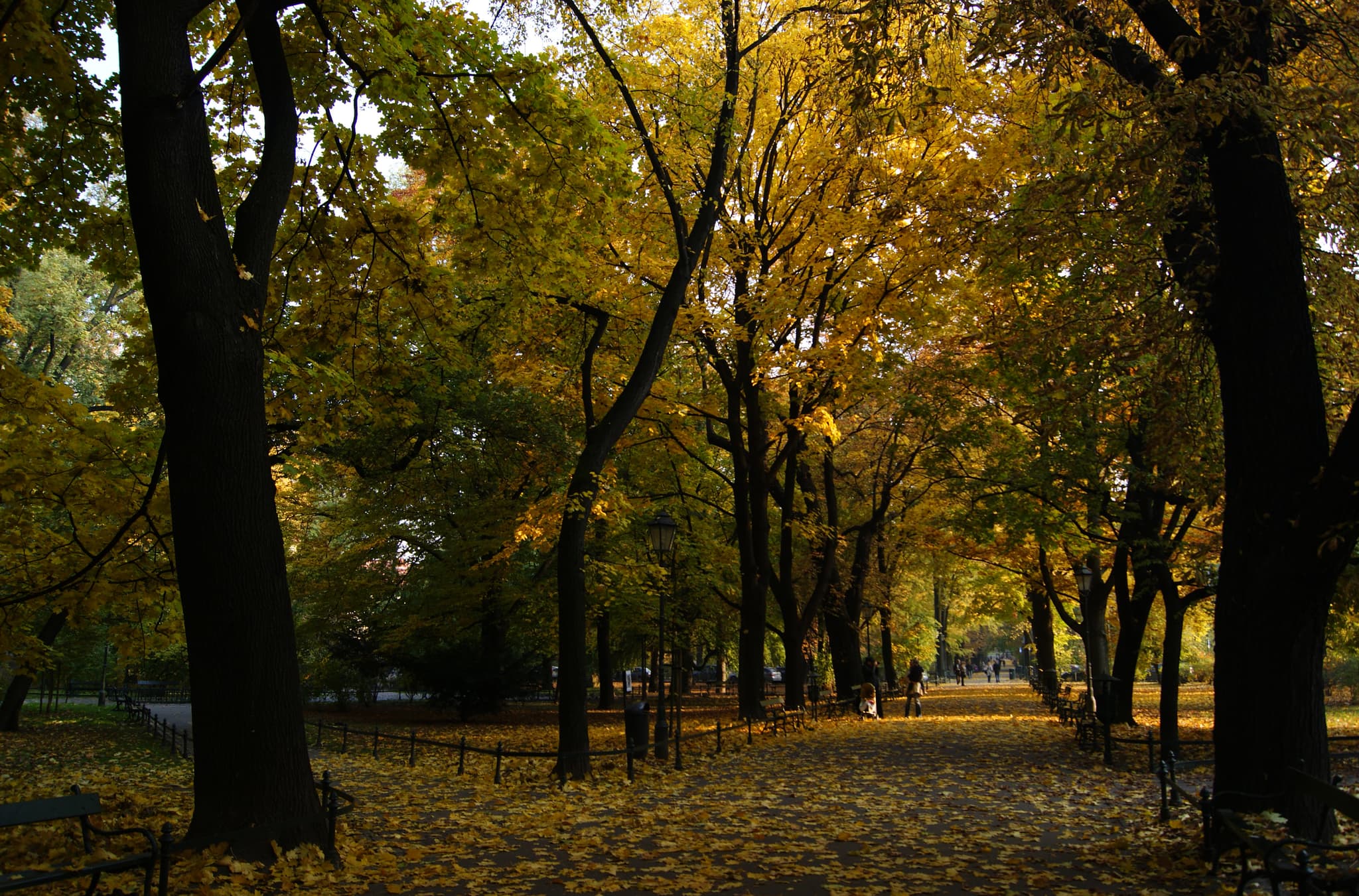 #8 Planty Park — Top 10 Things to Do in Krakow: Castles, Salt Mines & Hidden Gems