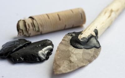 #9 Never mind Band-Aids, Neanderthals had antiseptic birch tar — Top 10 Ars Technica — Latest — March 19, 2026
