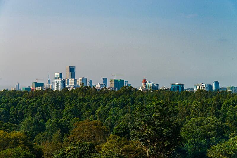 #8 Rwanda — Africa's Luxury Safari Pioneer — Top 10 Hottest Travel Destinations in 2026 — Places Everyone Is Racing to Visit