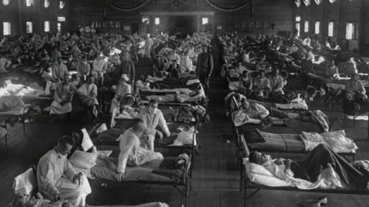 #2 Spanish Flu (1918-1920) — 50-100 Million Dead — Top 10 Deadliest Pandemics in Human History — The Diseases That Reshaped Civilization