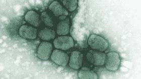 #6 Smallpox (Historical) — 300 Million in the 20th Century Alone — Top 10 Deadliest Pandemics in Human History — The Diseases That Reshaped Civilization