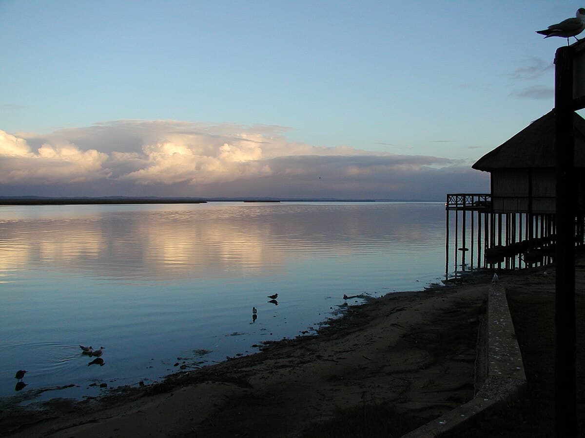 #6 iSimangaliso Wetland Park — Top 10 Must-Visit Destinations in South Africa