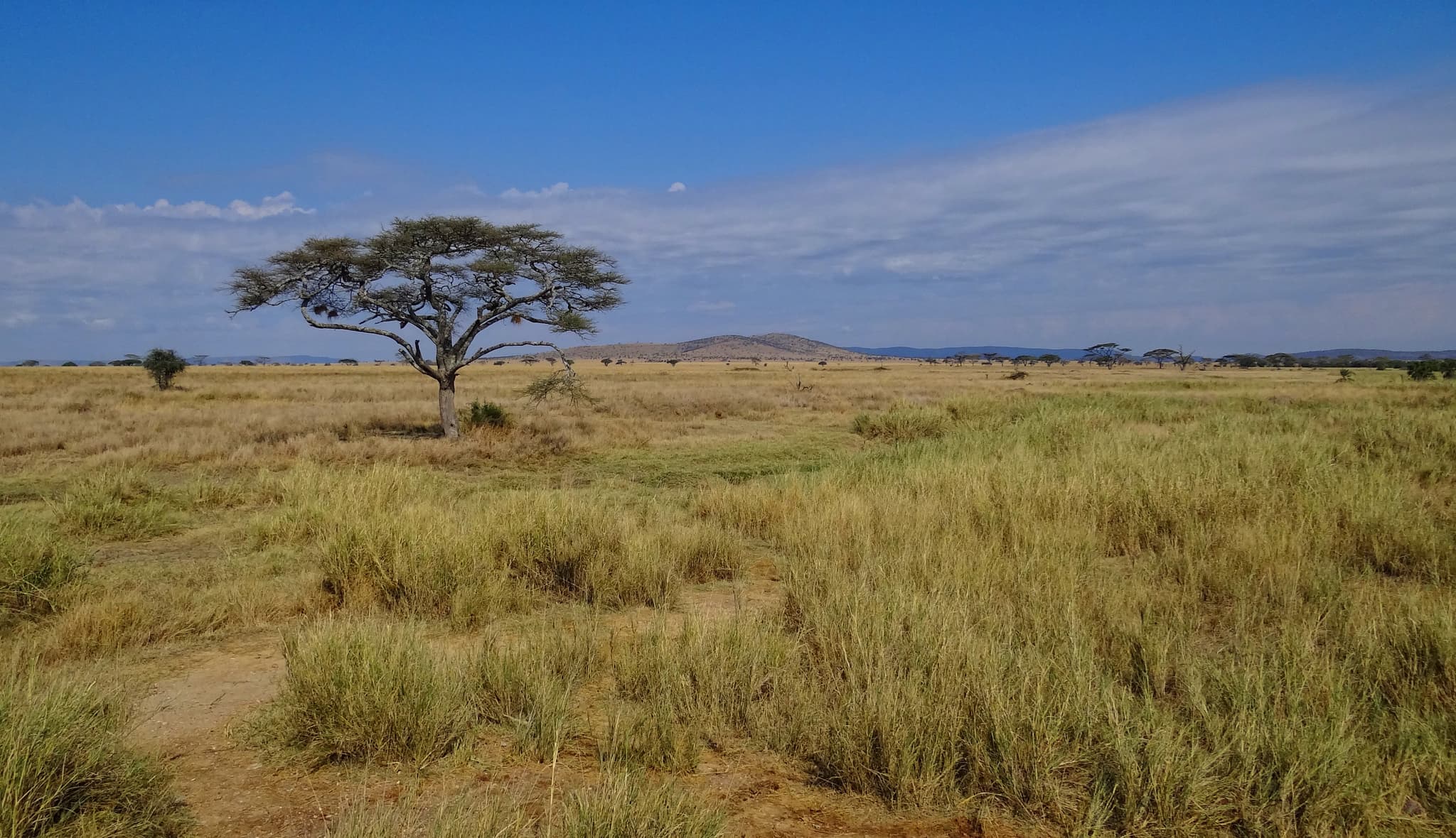 #3 Serengeti National Park — Top 10 Most Spectacular National Parks in the World