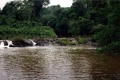 #10 Amazonia National Park — Top 10 Most Spectacular National Parks in the World
