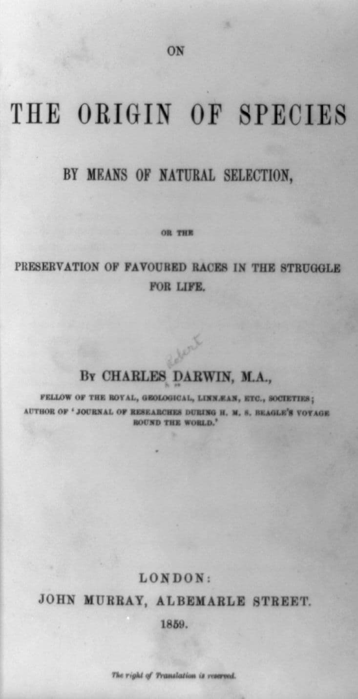 #5 Evolution by Natural Selection (1859) — Top 10 Greatest Scientific Discoveries in History