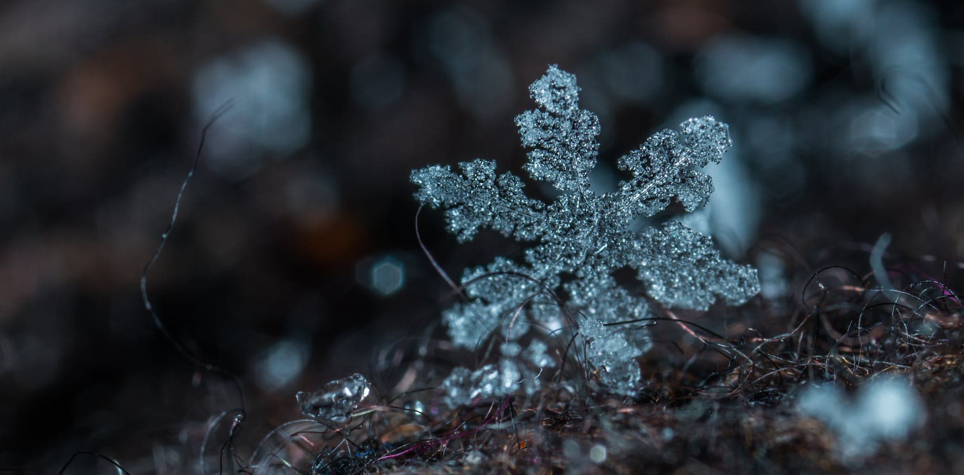 #1 Snowflake — Top 10 US Data Analytics Companies 2026