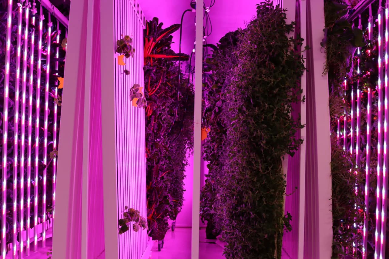 #8 AeroFarms — Top 10 US AgriTech Companies