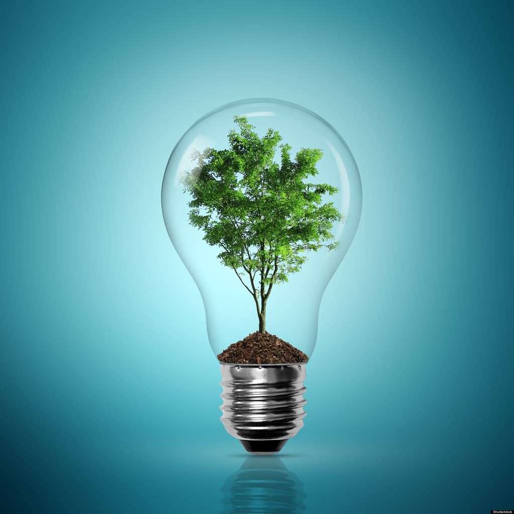 #9 Tree Energy Solutions (Germany) — Top 10 European Cleantech Companies 2026