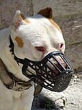 #6 ASPCA Pet Insurance — Top 10 US Pet Insurance Companies 2026