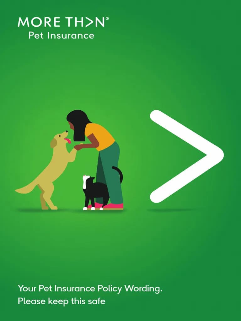 #5 More Than Pet Insurance (RSA) — UK Specialist — Top 10 European Pet Insurance Companies