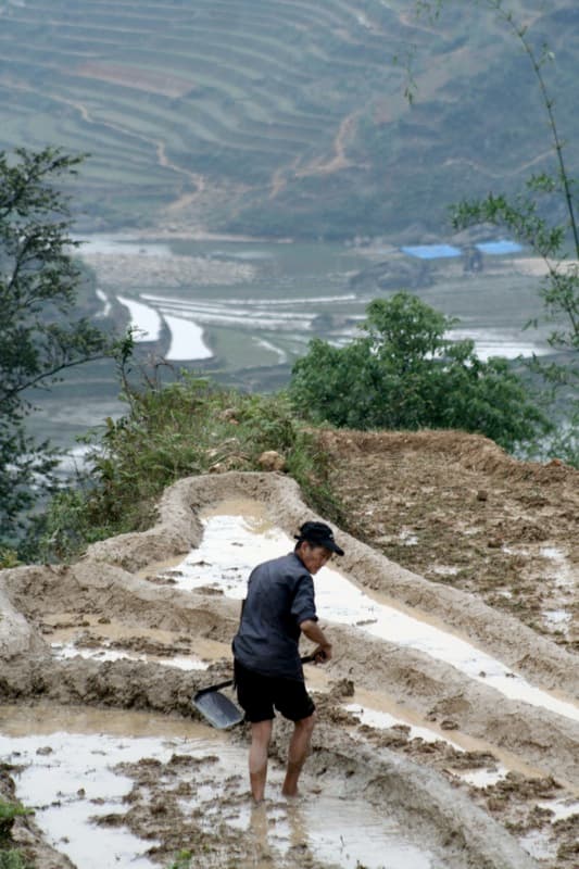#6 Sapa Rice Terraces — Top 10 Best Things to Do in Vietnam