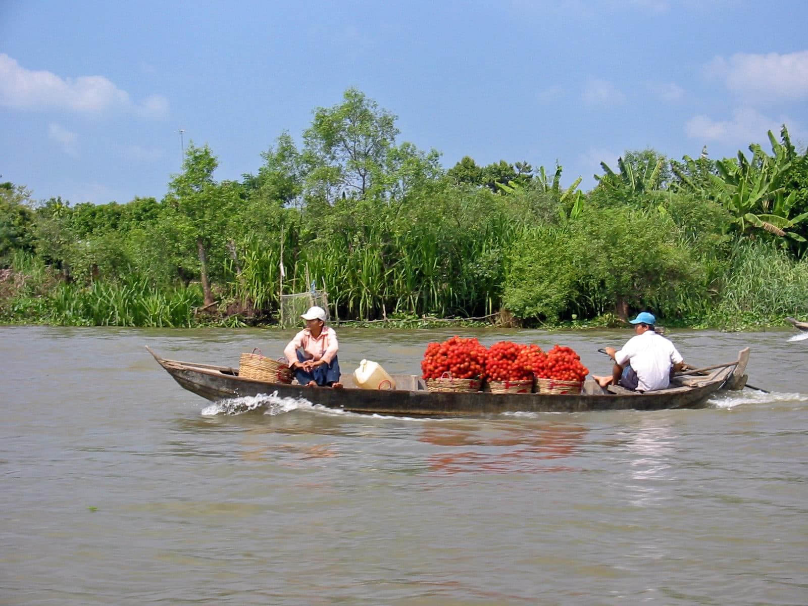 #8 Mekong Delta — Top 10 Best Things to Do in Vietnam