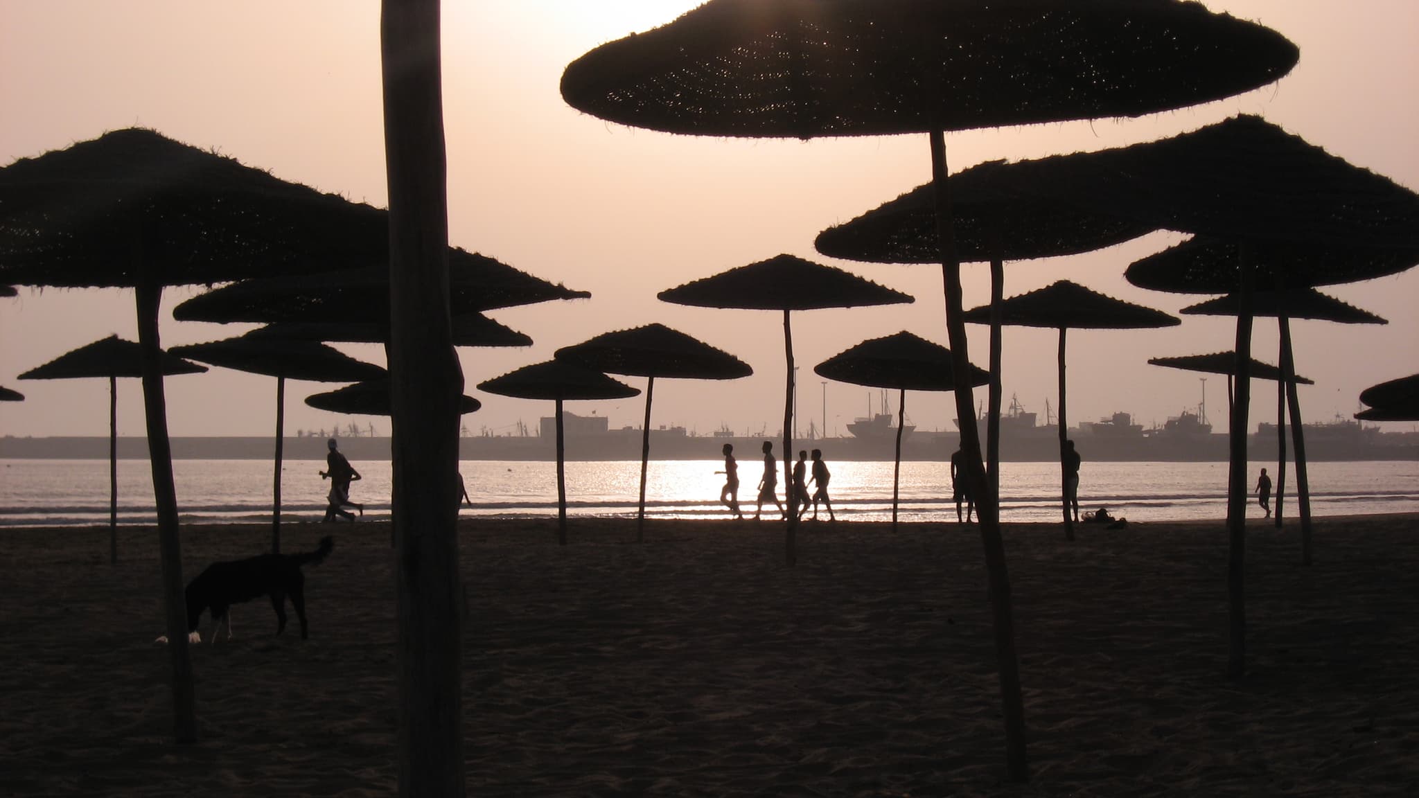 #6 Essaouira Atlantic Coast — Top 10 Best Things to Do in Morocco